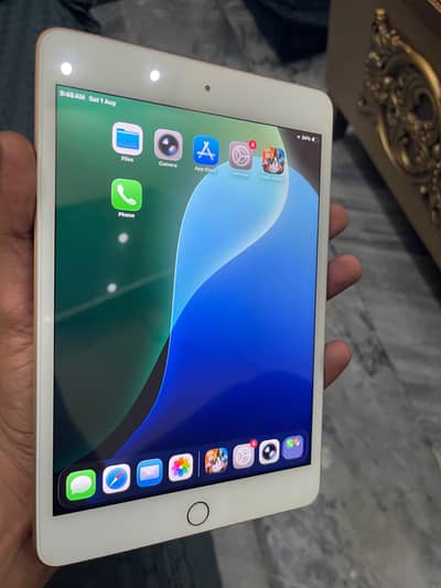 Ipad Mini 5