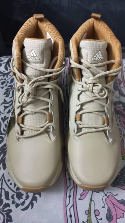 Adidas shoes size uk8/5