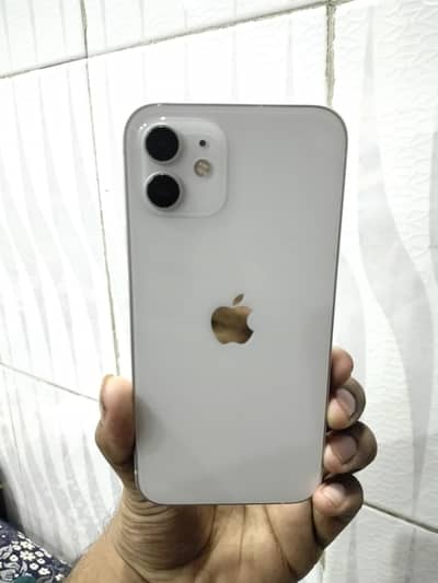Urgent Sale IPhone 12 in low price