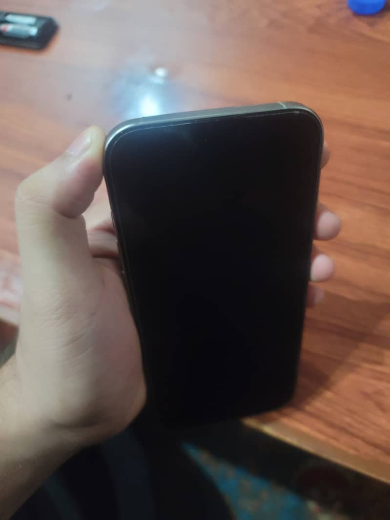 Apple iPhone 16 Pro Max 1