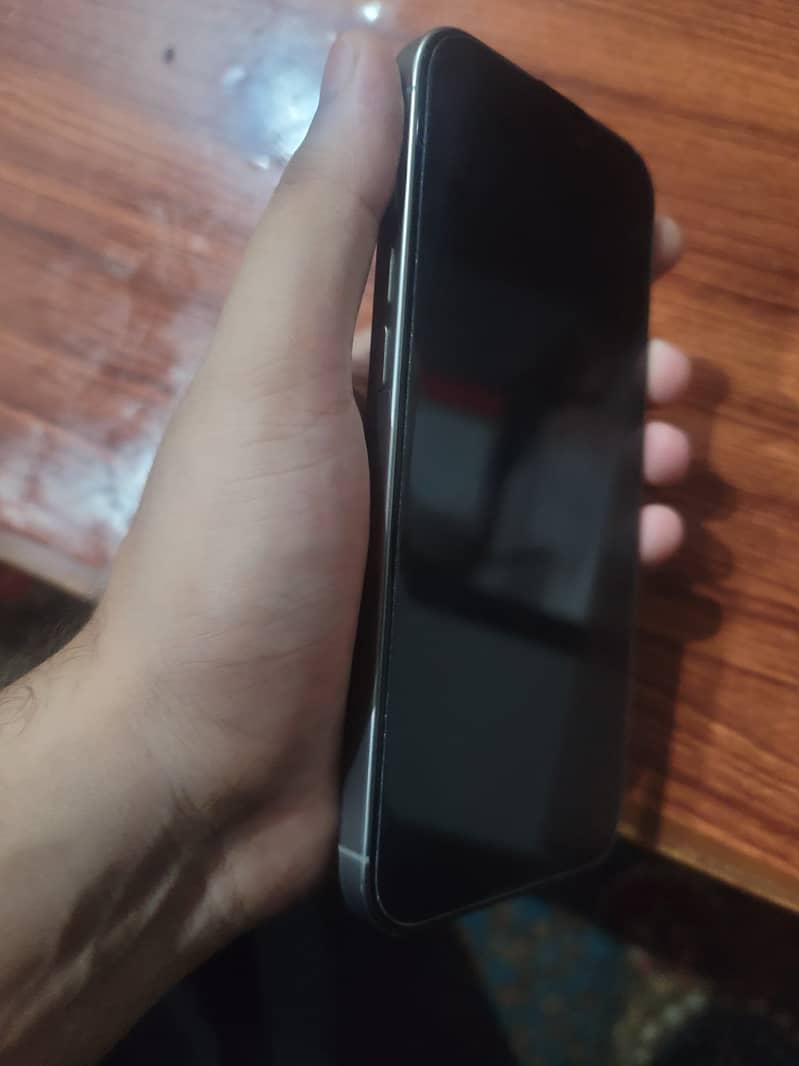 Apple iPhone 16 Pro Max 12