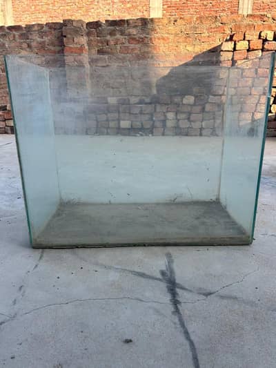 Fish Aquarium large