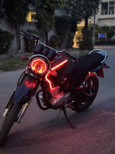 Ybr for sale