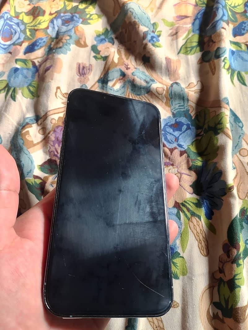 Apple iPhone 13 Pro Max 1