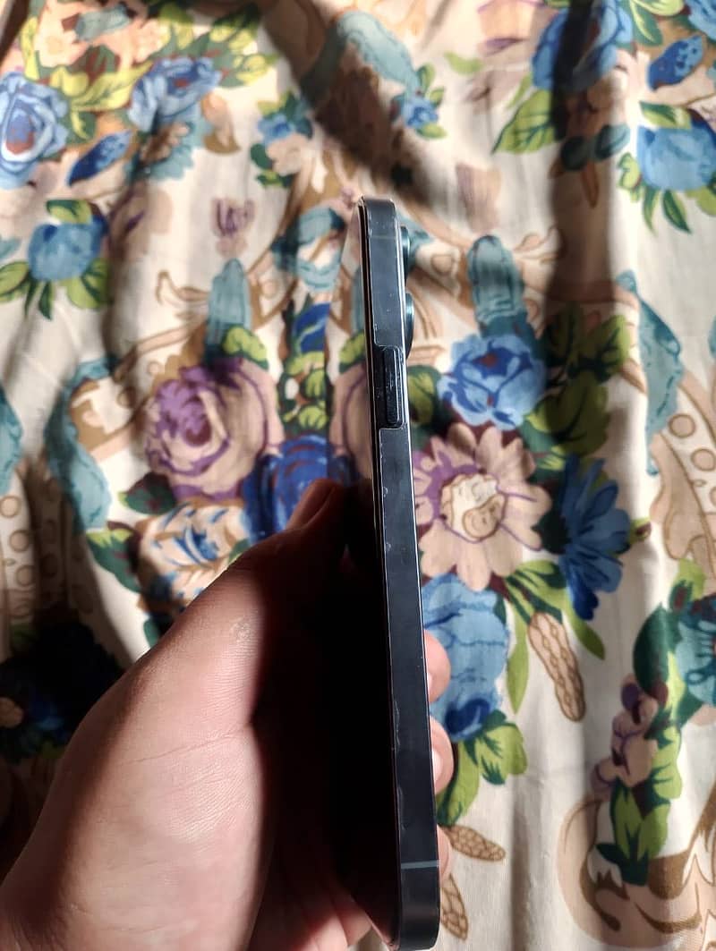 Apple iPhone 13 Pro Max 3