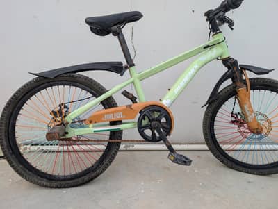 Imported Cycle for 10up years