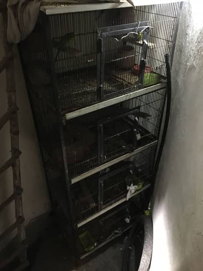 4 cages for hens and pigeons