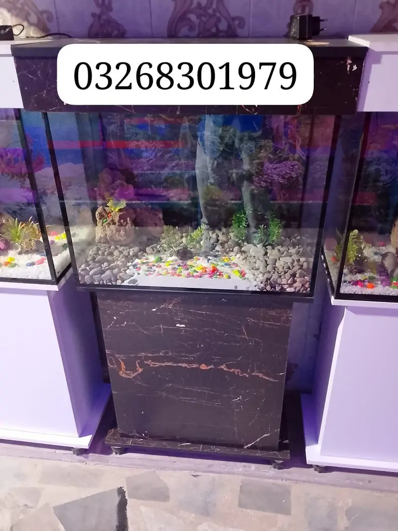 Fish and fish aquarium market sy munseeb price — photo 2
