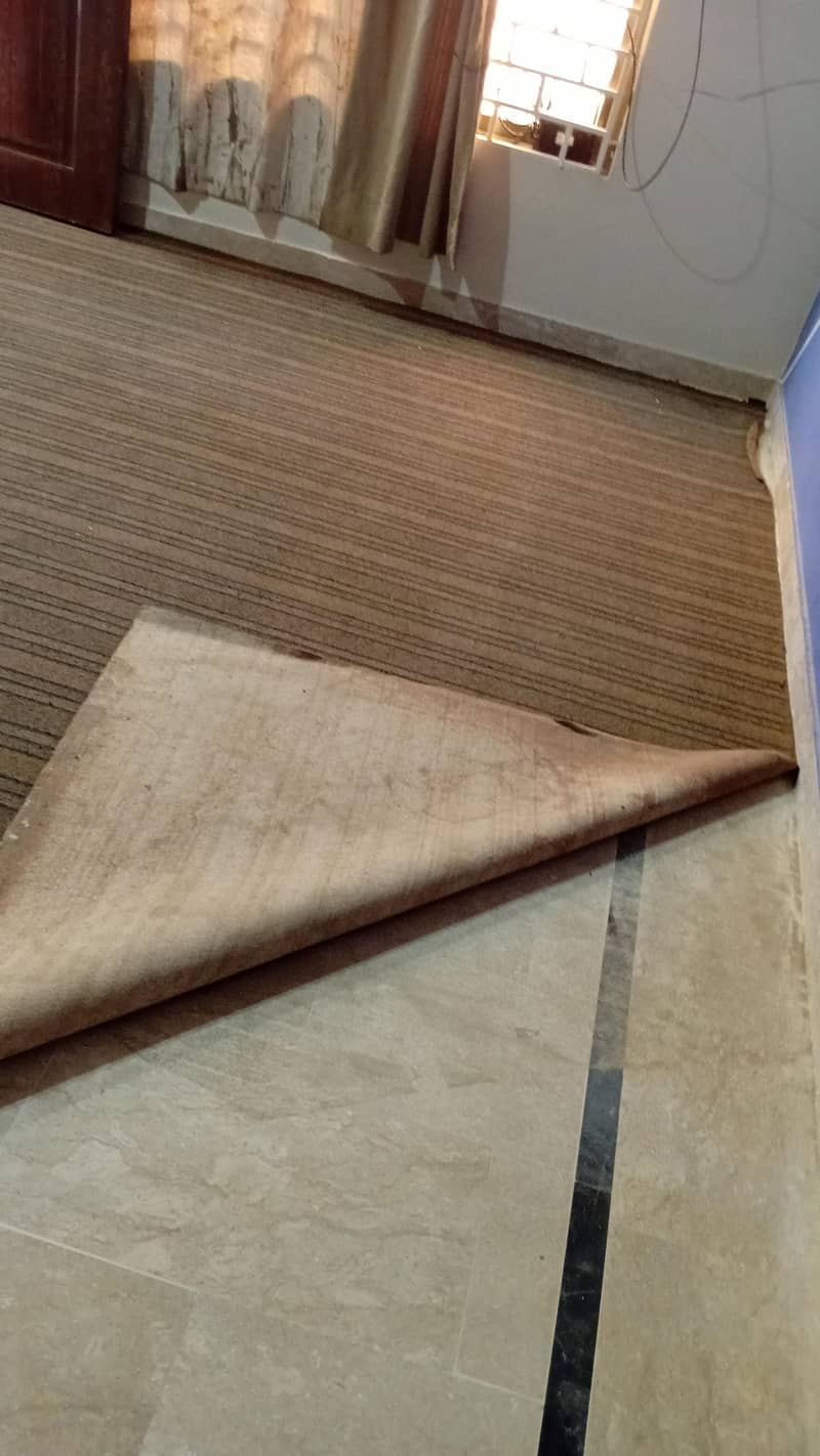 Delicate carpets and a runner 2