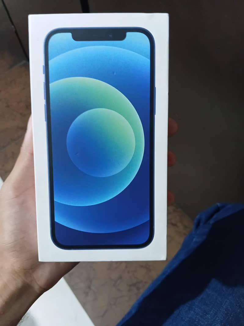 Apple iPhone 12 0