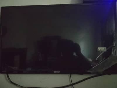 orient company Led 32 inch ( 03295460921)