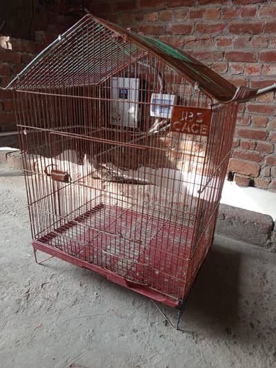 cage for birds