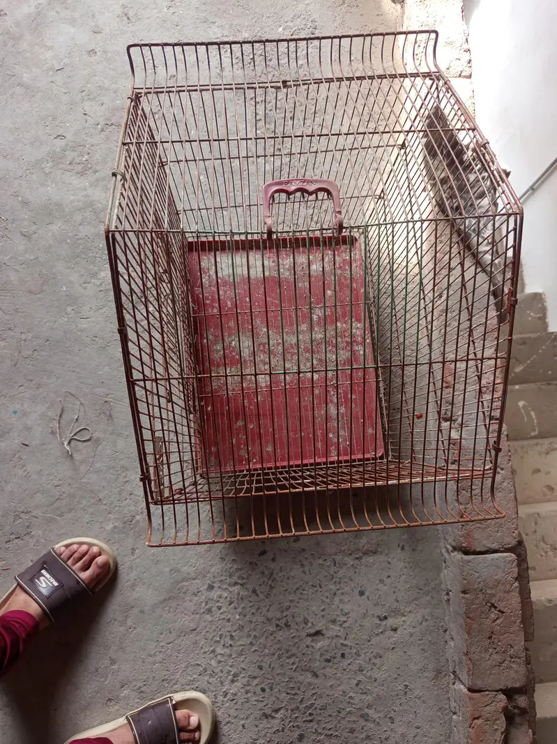 cage for birds — photo 2