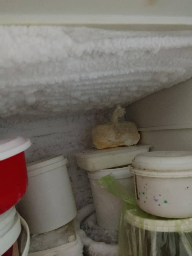Dawlance refrigerators 2