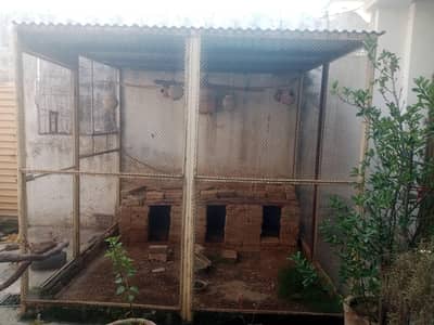 Cage for birds & hens