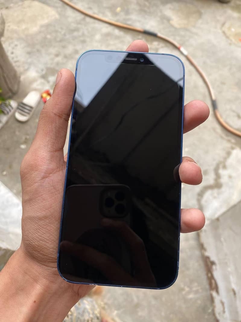 Apple iPhone 12 1