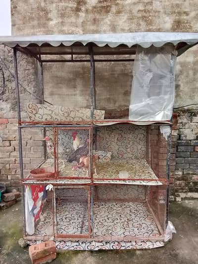 hight 7.5 birds cages hen pigeon parets