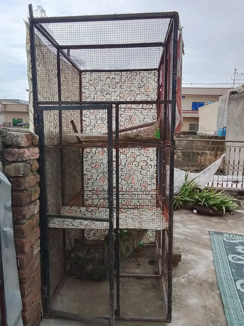 hight 7.5 birds cages hen pigeon parets — photo 2
