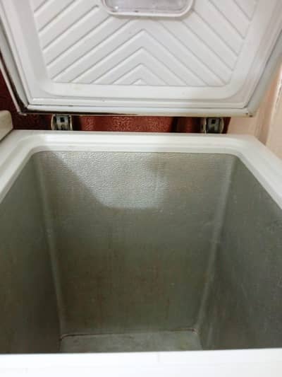 waves Feep freezer