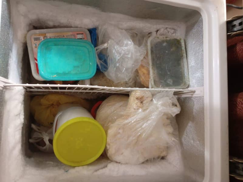 waves Feep freezer 4