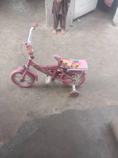 2 cycle