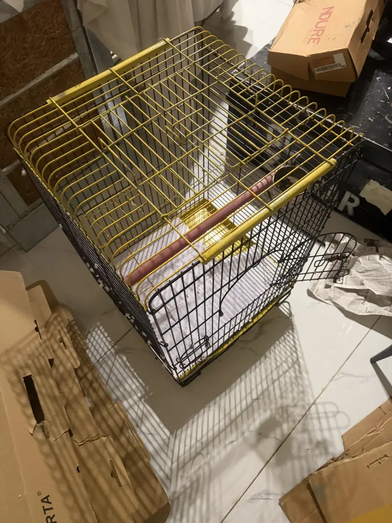 Parrot cage  and stand — photo 5