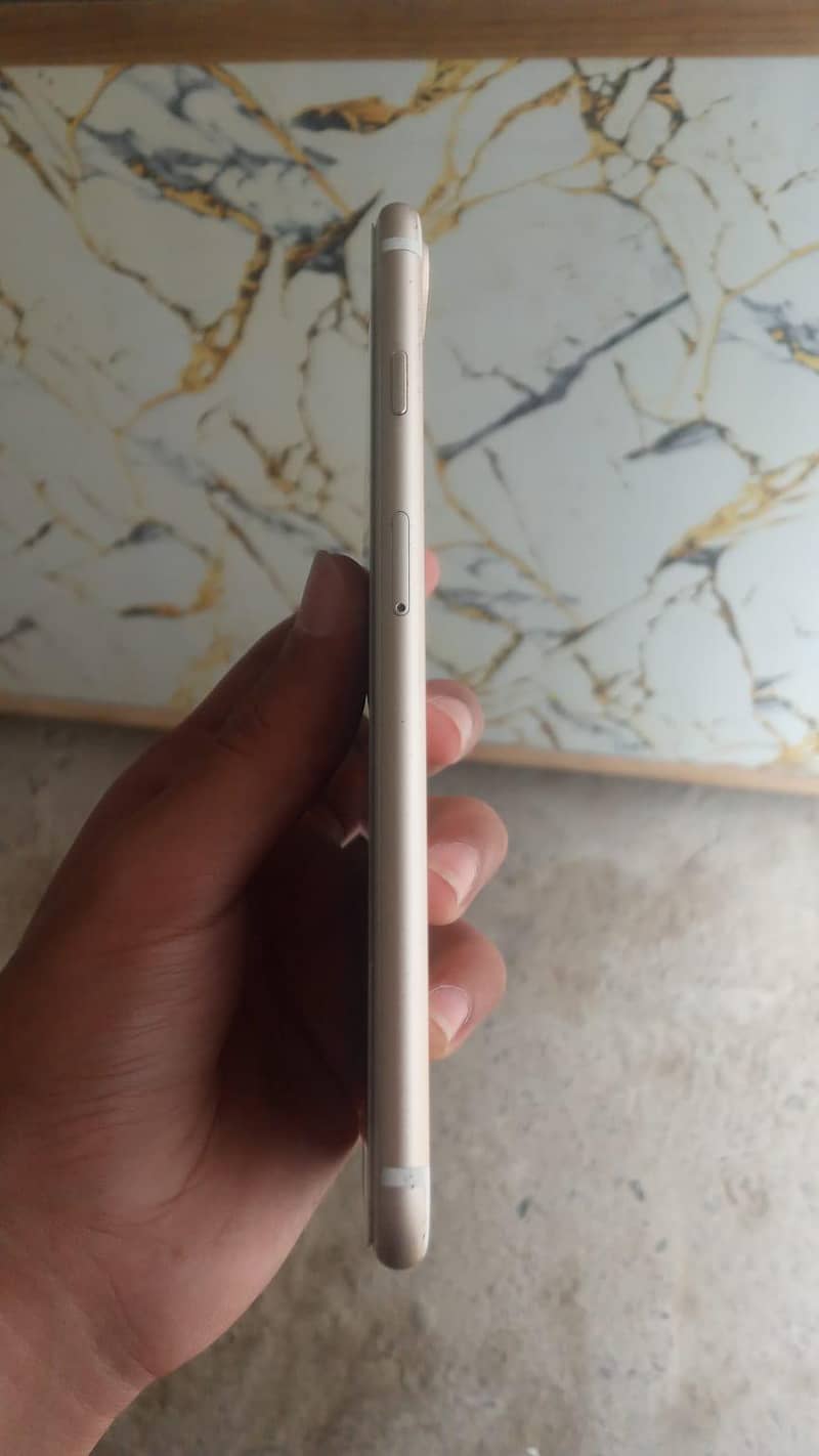 Apple iPhone 7 Plus 0