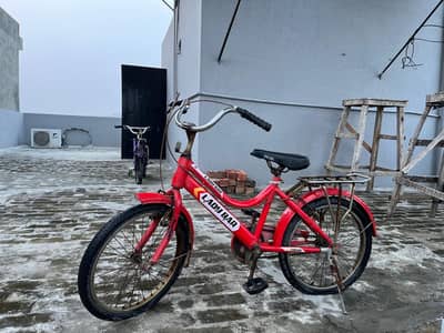 Girls Bicycles for Sale