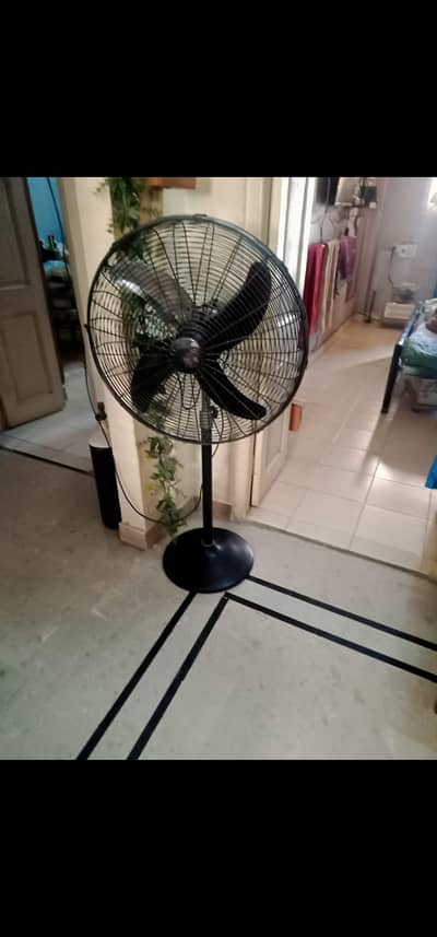 Pak Fan for Sale
