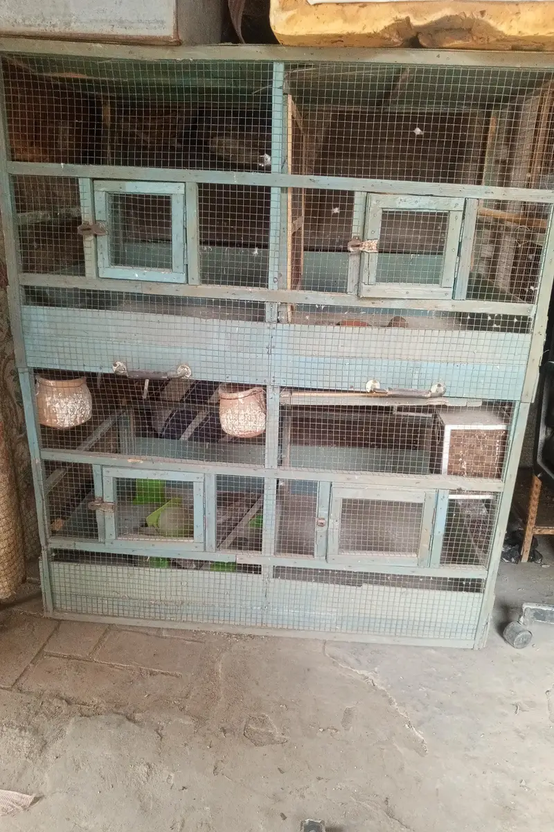 Food Cage For Sale Contact Number Redacted 03214688992