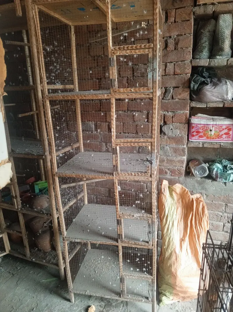 Food Cage For Sale Contact Number Redacted 03214688992 — photo 2