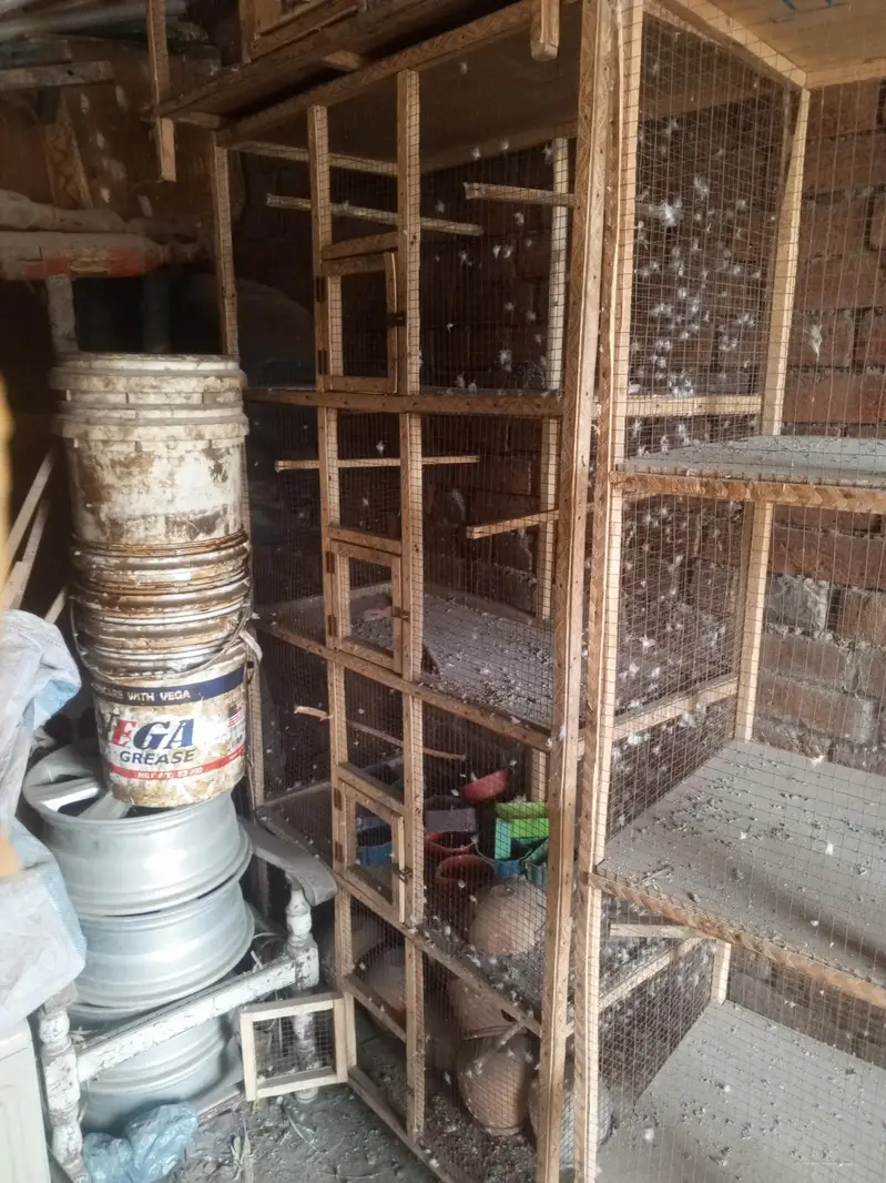 Food Cage For Sale Contact Number Redacted 03214688992 — photo 3