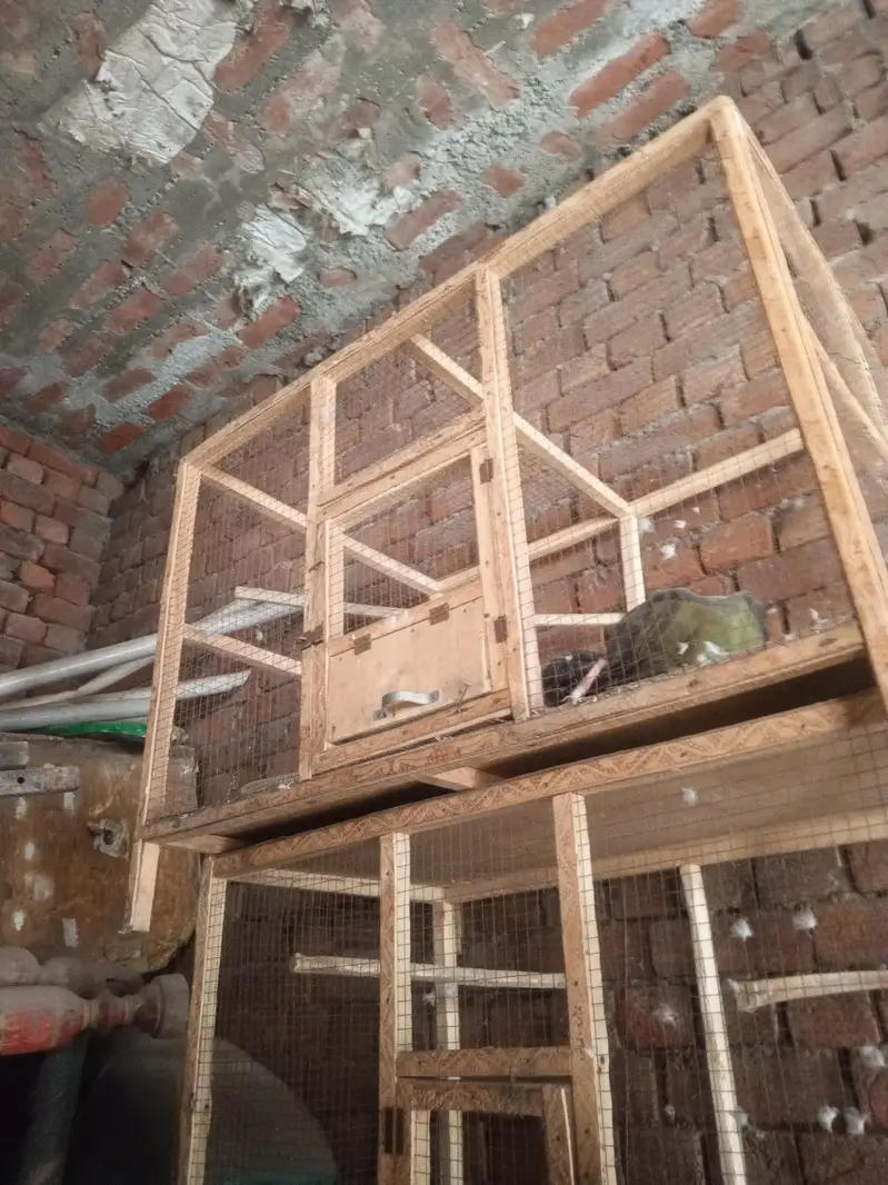Food Cage For Sale Contact Number Redacted 03214688992 — photo 5