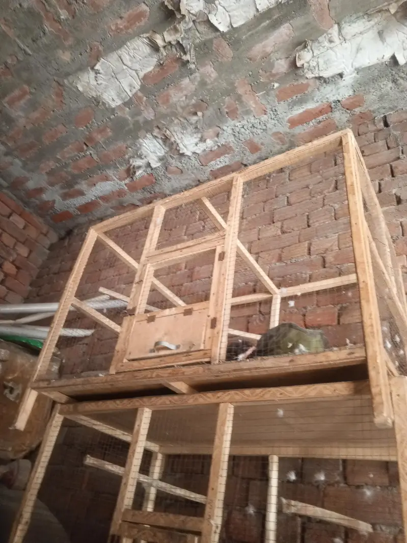 Food Cage For Sale Contact Number Redacted 03214688992 — photo 6