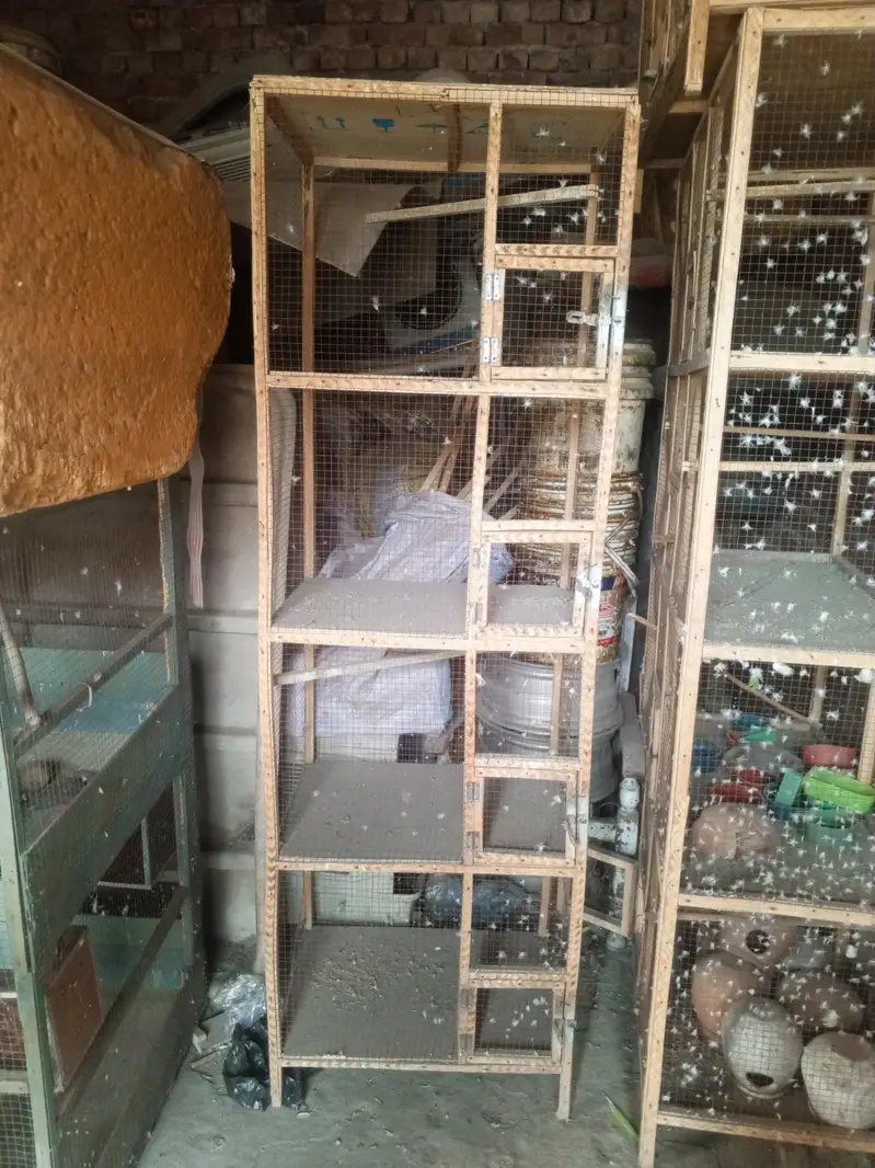 Food Cage For Sale Contact Number Redacted 03214688992 — photo 7