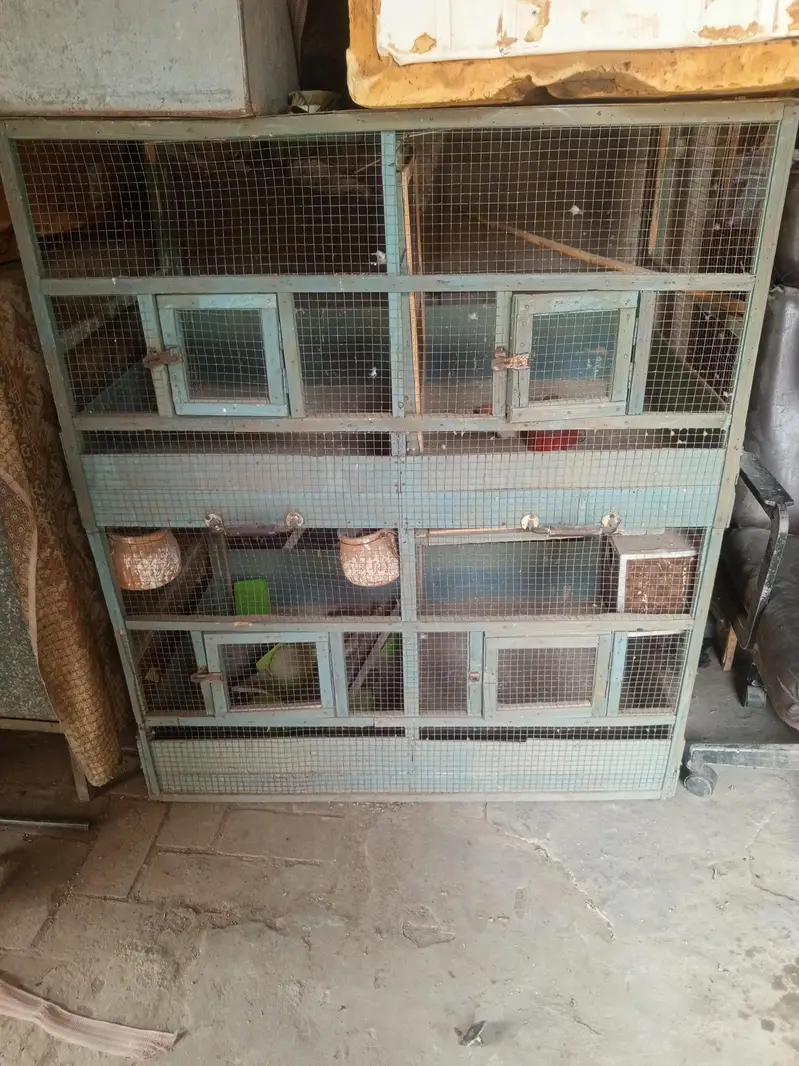 Food Cage For Sale Contact Number Redacted 03214688992 — photo 8