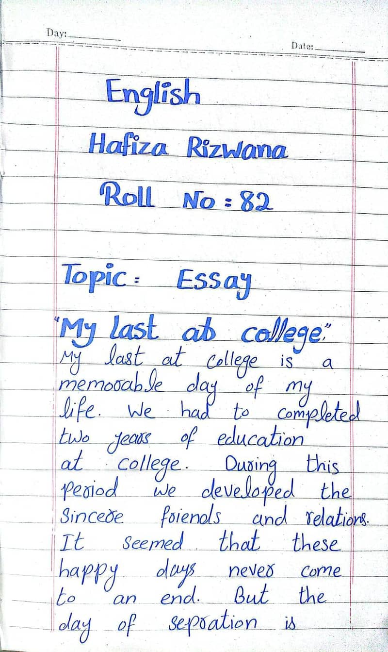 professional assignment writer 0