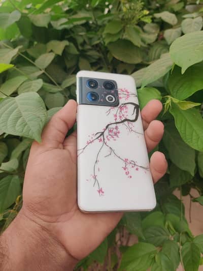 One Plus 10 Pro 12/512 = (03066316742)