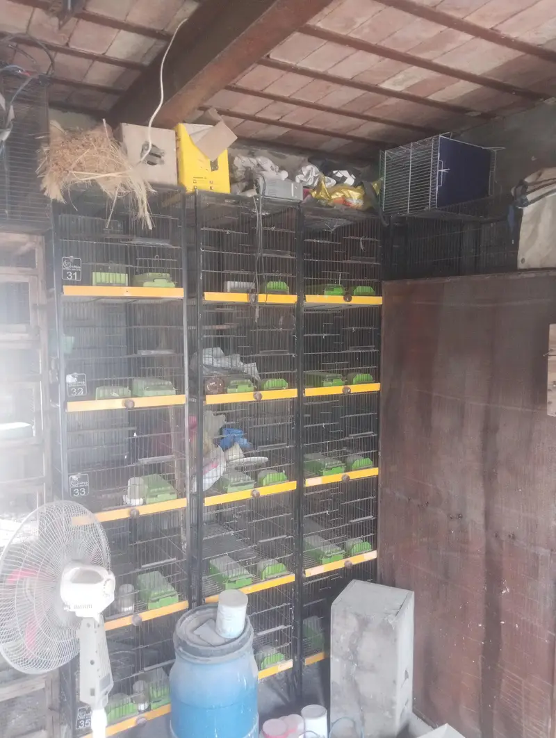 cages — photo 2