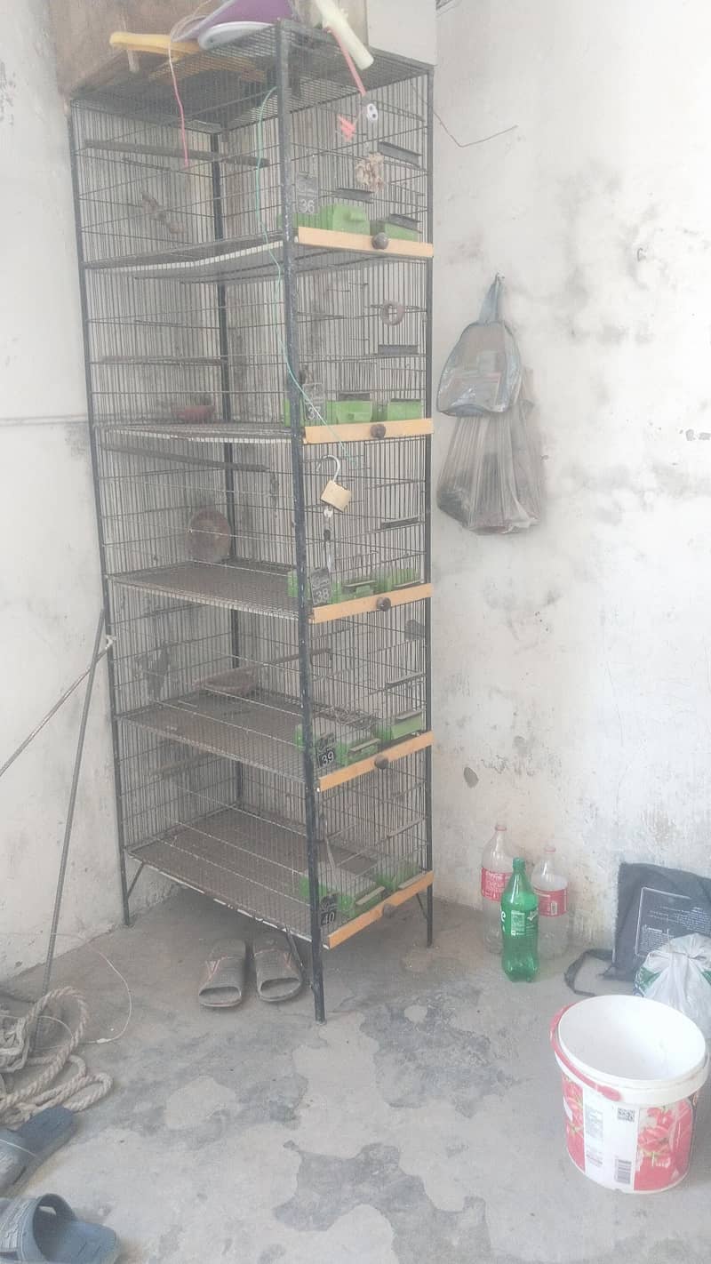 cages 2
