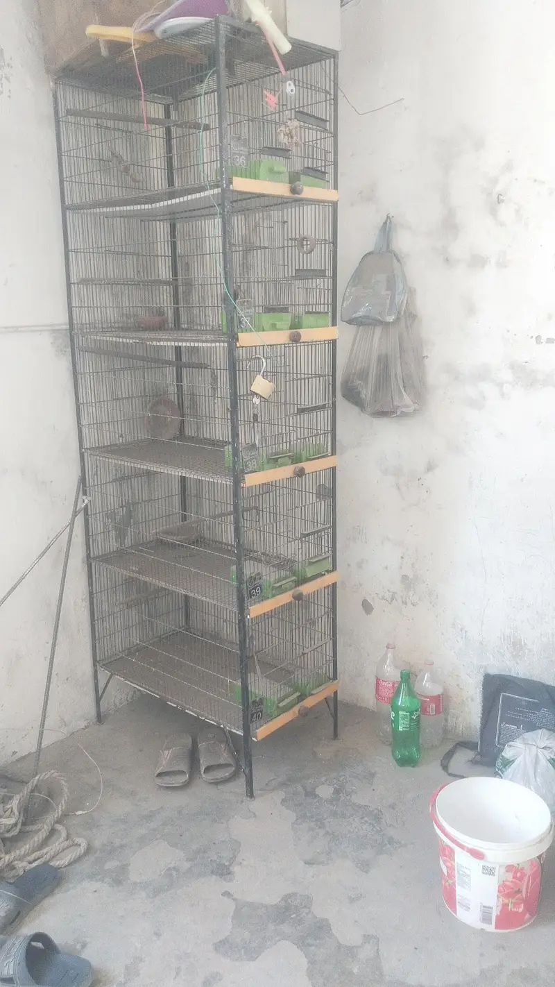 cages — photo 3