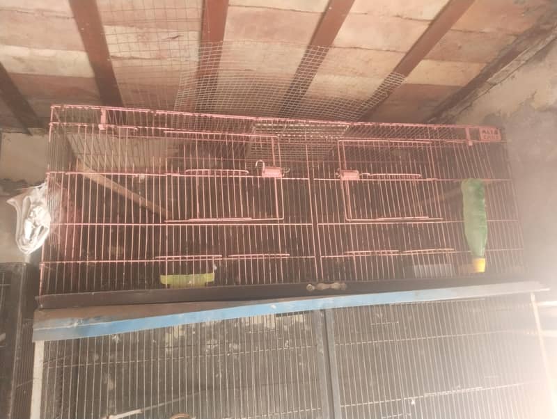cages 4