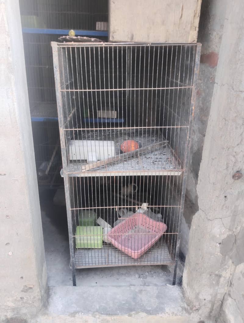 cages 5