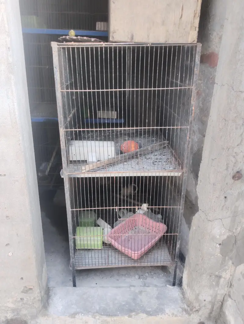 cages — photo 6