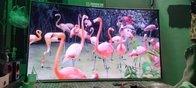 Haier curved smart LCd 55 inches urgent sale