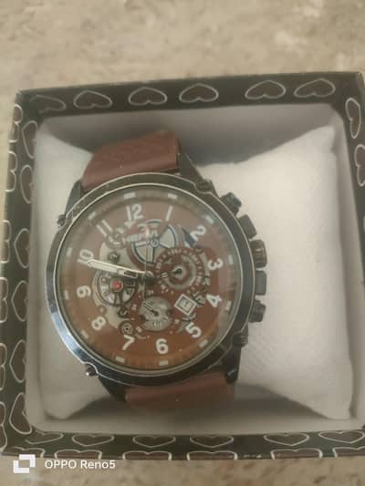 beautiful elegant men watch