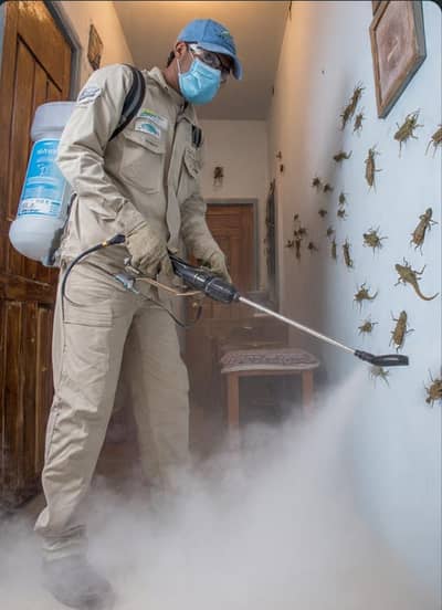 pest control operator service fumigation