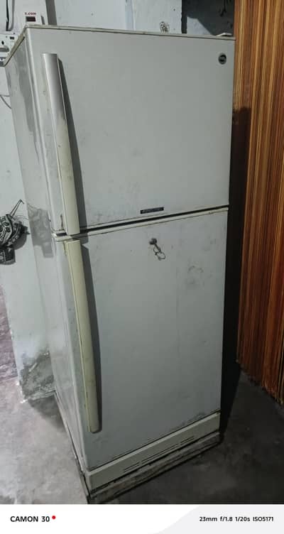 pel fridge medium size
