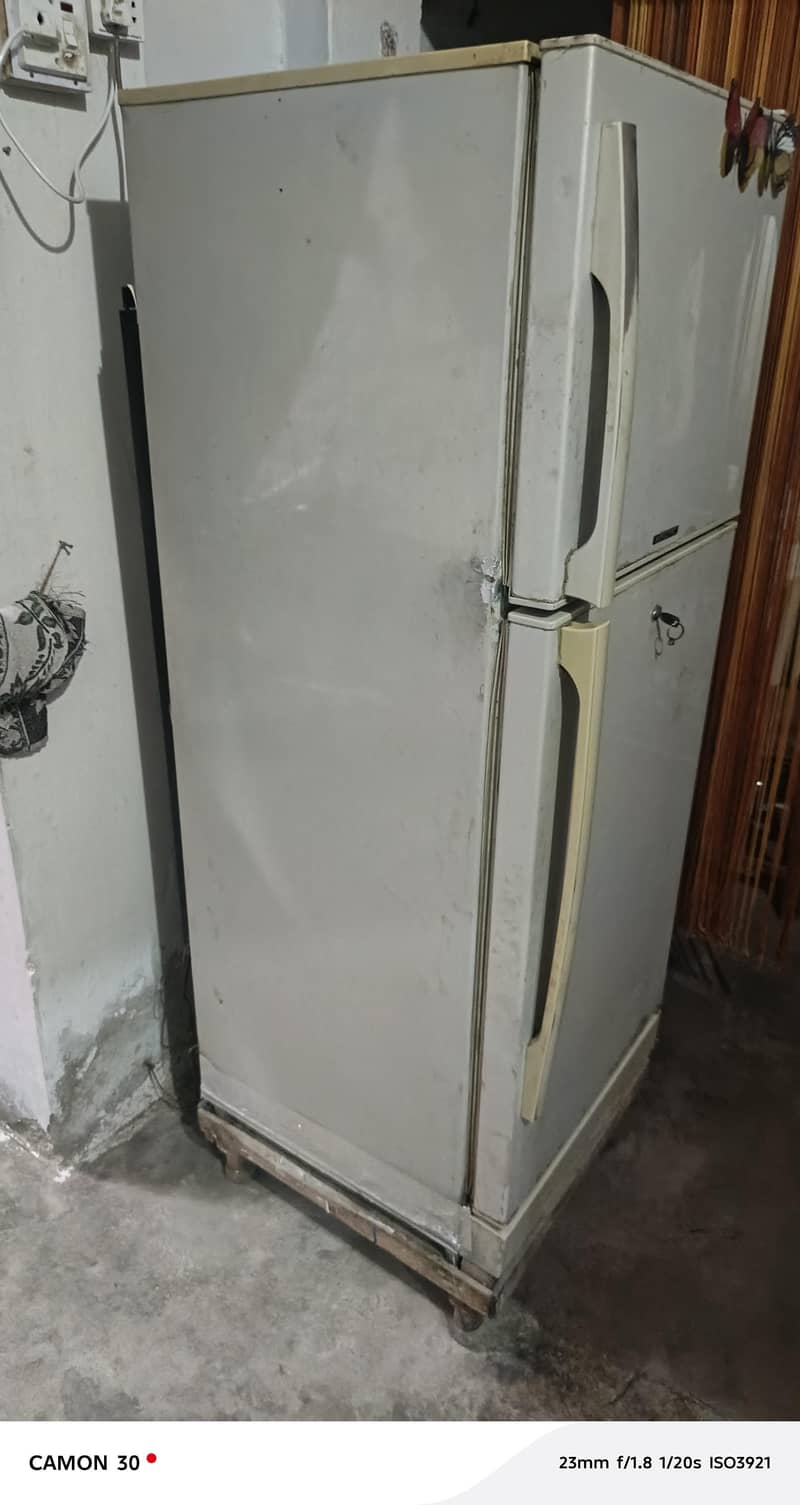pel fridge medium size 1
