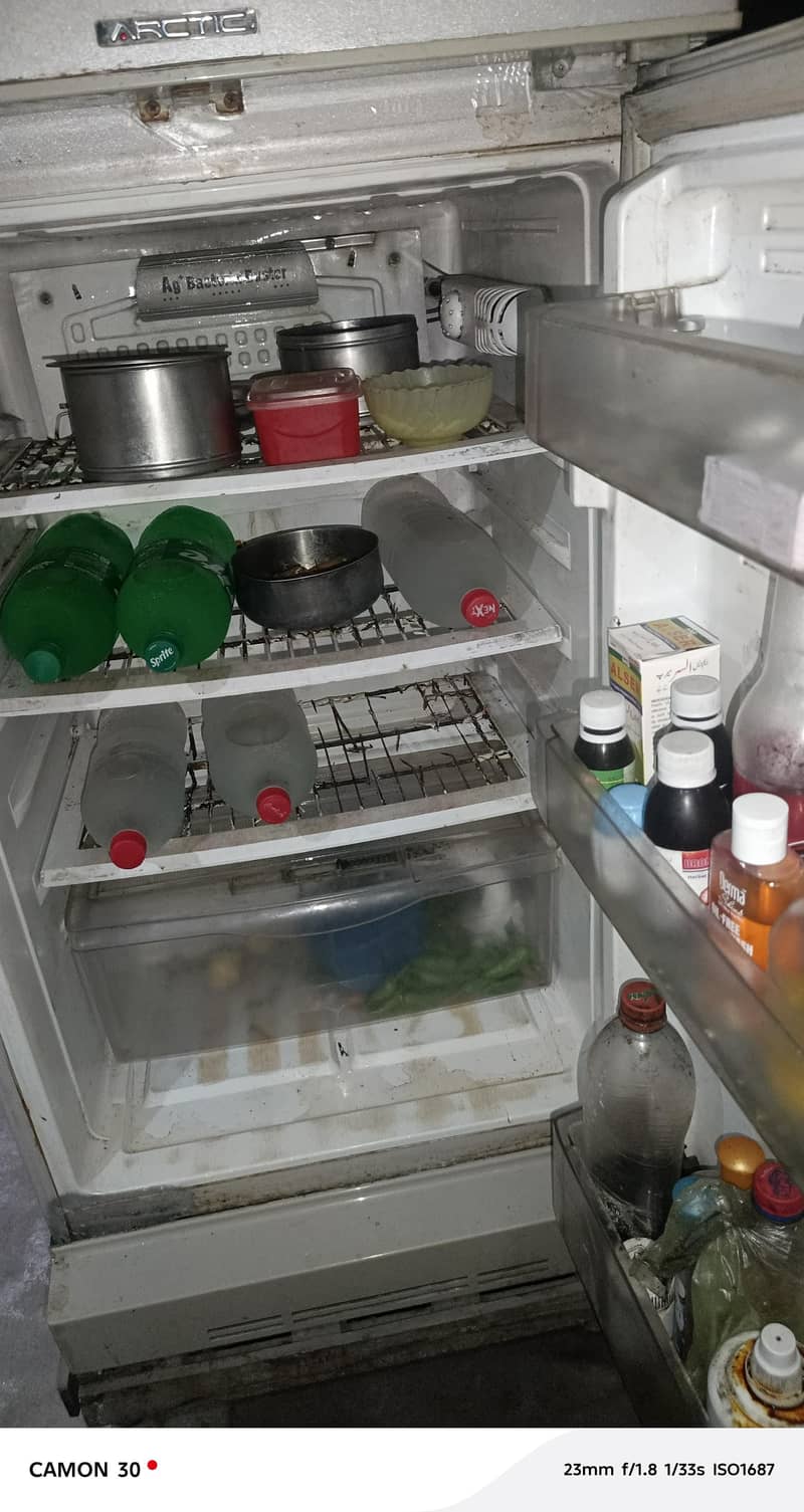 pel fridge medium size 2